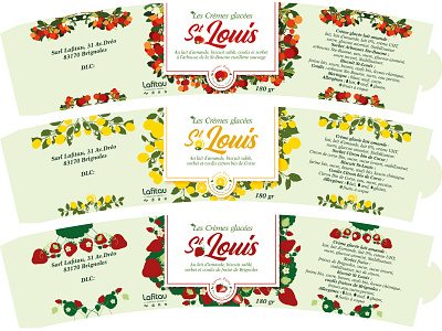 Saint-Louis Ice cream branding design graphic design illustration typography