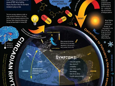 Infographic Double-Sided Poster hierarchy infographic information design information graphics poster typogaphy