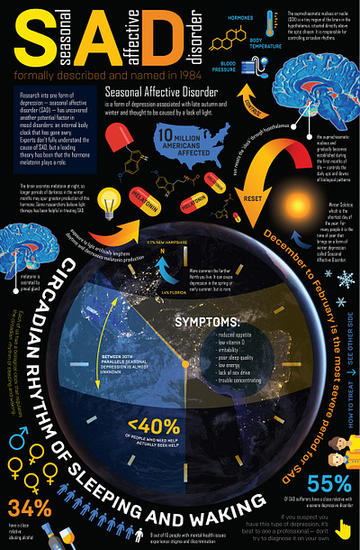 Infographic Double-Sided Poster hierarchy infographic information design information graphics poster typogaphy