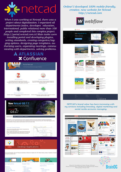 Netcad Project branding confluence design netcad responsive responsive design responsive web design responsive website solution web web flow webdesign webdesigner webdesigns webflow website website design websites