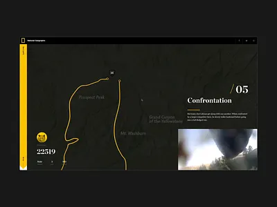 A Bear's Eye View of Yellowstone - Milestone animation bears black hello monday natgeo national geographic nature ui uiux webdesign webgl yellow