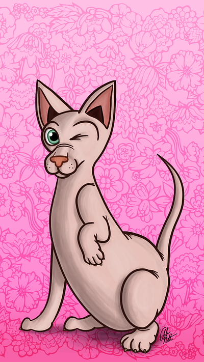 Hairless Cat Phone Wallpaper design drawn illustration