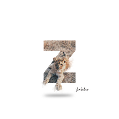 Z Zimbabwe alphabet alphabet font design font art font family image font typogaphy