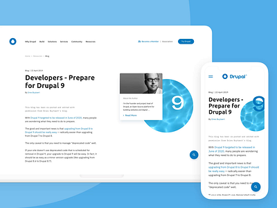 Drupal (dot-org) b2b blog drupal platform ui web