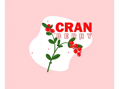 CRANberry berry design flat illustration minimal vector