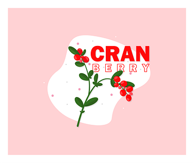 CRANberry berry design flat illustration minimal vector