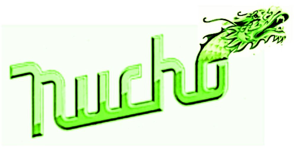 My first logo for our company design illustration logo