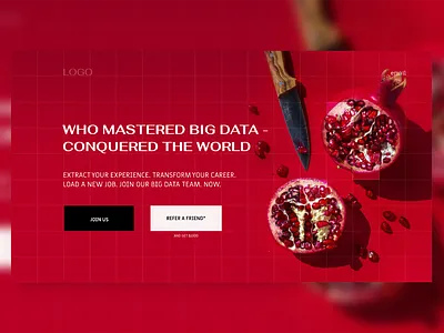 Big Data hiring campaign advertising art direction banner big data bold branding concept design digital art hiring homepage hr landing page landing page design marketing marketing campaign red referral slogan ui