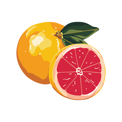 Pamplemousse branding grapefruit illustrator logo logo design