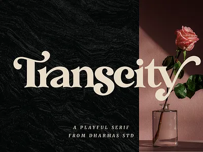 Transcity - A Playful Serif 70s font 80s font branding classy elegant feminine font fonts header headline layout logo luxury magazine modern plyaful retro serif vintage web