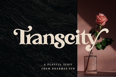 Transcity - A Playful Serif 70s font 80s font branding classy elegant feminine font fonts header headline layout logo luxury magazine modern plyaful retro serif vintage web