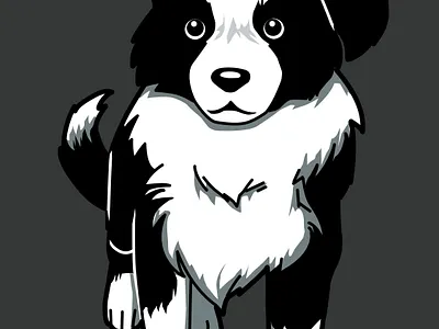 Border Collie adobe photoshop animal art border collie cute art design dog drawing illustration