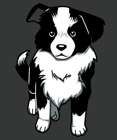 Border Collie adobe photoshop animal art border collie cute art design dog drawing illustration