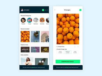 Best Pictures App Design app design illustration mobile app design music oranges photograph photography photography app photoshoot picture ui ui design ux design web agency web design