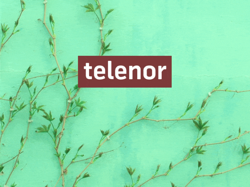 Social Media post design microinteraction social media post