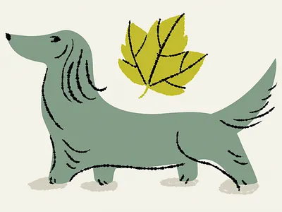 Maple Dog branding dachshund design dog illustration ink leaf maple mapleleaf retro retrosupply retrosupplyco weiner dog