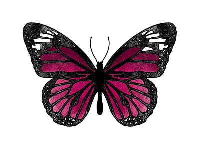 Butterfly illustration animal art animal illustration butterfly butterfly logo butterfly sketch design digital art digital painting graphics illustration pink butterfly procreate