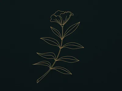 Botanical aftereffects alive animation branding eyes eyesight flower flower illustration illustration illustrator leaves lines logo look minimal opening staring surreal vector