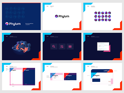 Phylum brand guidelines: pattern, illustrations, stationery, web app bird brand branding construction corporate pattern finch fintech guidelines identity design layout logo logo design logomark manual presentation security software stationery design template