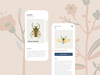 mushi concept dailyui design illustration ui userinterface