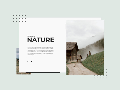 Info Card Design - Daily UI 045 adobe photoshop daily ui dailyui dailyuichallenge design info card minimalistic modern nature ui web design webdesign