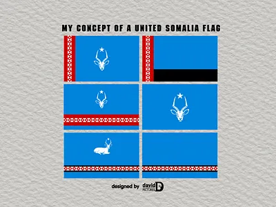 My concept of a United Somalia flag branding design flag flag design graphic design illustration illustrator logo somalia typography vector website