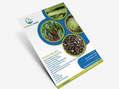 Flier design design fliers graphics