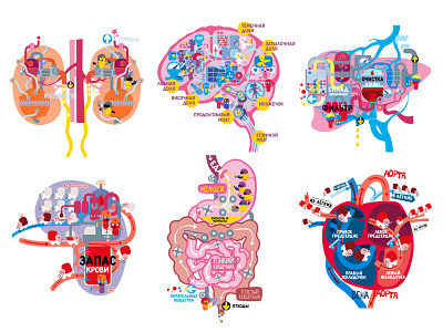 Anatomy 2d brain children book illustration heart illustration kidneys liver stomach vector