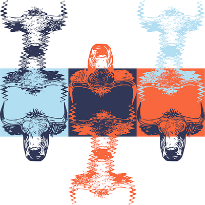 Bull animals bull bulls cow cowboy design design art illustration ilustration