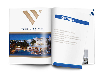 Magazine layout design brochure design business company design flyer illustration illustrator layouts magazine