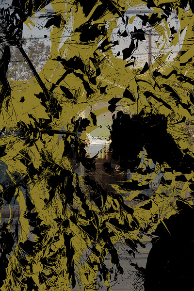 Telephone Poles black green vector vector art