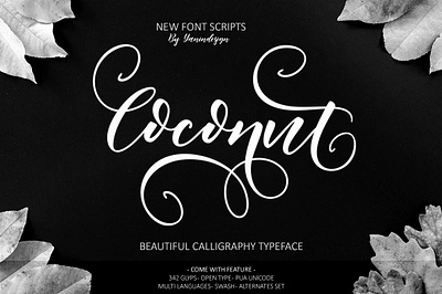 Coconut branding calligraphy font design elegant font font handwrittenfont illustration logo logo font scriptfont typography