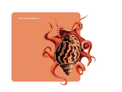 Vintagenimals animals children collage vintage