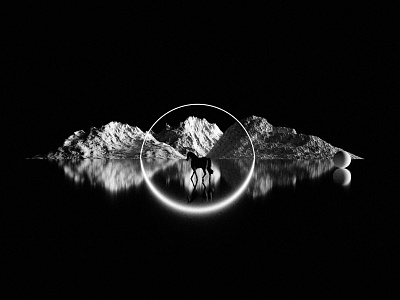 LE CHEVAL | B&W 3d 3d art 3d artist abstract album album art album artwork album cover album cover design blender blender3d design illustration lachute light