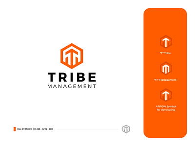 TRIBE MANAGEMENT Logo agency logo brand brand identity branding branding design design icon logo logogram management symbol