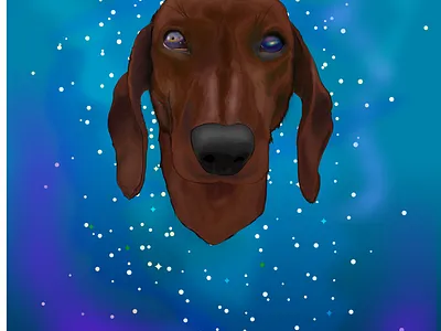 the universe in the eyes of a dog. branding design drawing graphic design illustration illustrator logo typography vector