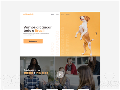 Petbrands flat ui ux