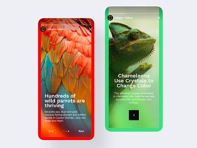 Mobile App - NatGeo Stories clean colorful design mobile app mobile ui photo ui user interface ux