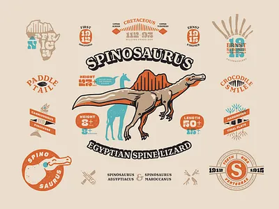 Spinosaurus Info Sheet badge branding character dinosaur fossil illustration spinosaurus typography vector