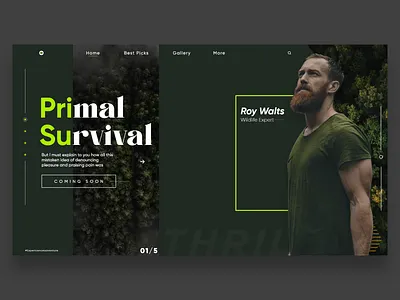 wildlife UI Design adobexd dark green minimal ui ui design uidesign uiux website webui wildlife