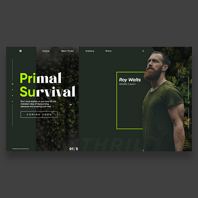 wildlife UI Design adobexd dark green minimal ui ui design uidesign uiux website webui wildlife