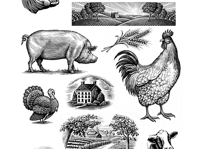 Scratchboard Woodcut illustrations artwork ink art line art linework pen and ink scraper board scratchboard woodcut