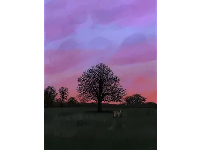 Richmond Park illustration ipad london procreate richmond sky travel tree