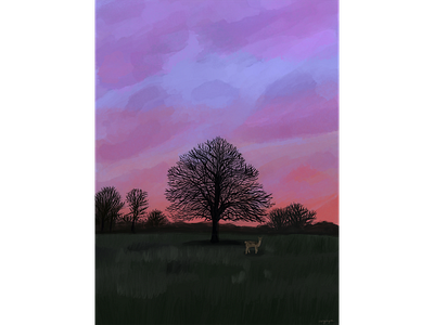 Richmond Park illustration ipad london procreate richmond sky travel tree