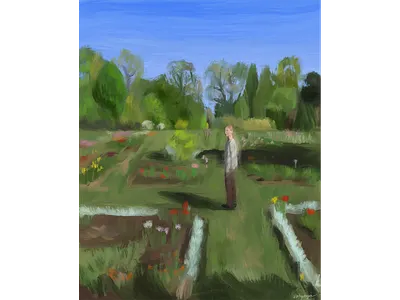 Kaliningrad botsad illustration ipad kaliningrad landscape nature oil paint procreate travel