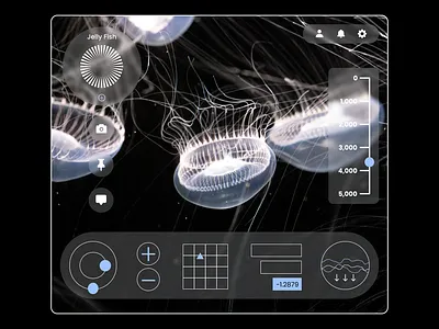 Explore The Ocean animals beach branding concept design graphicdesign ocean product design sea ui ux visual design