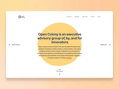 Corporate web site design: landing page home page ui
