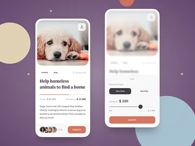 Crowdfunding platform concept animals bright charity crowdfunding dog donation filters pet slider