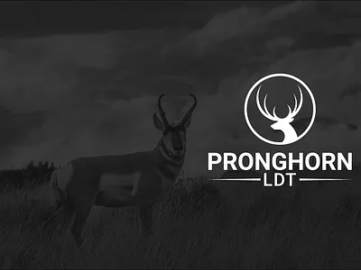 pronghorn logo animal animal logos branding design icon illustration logo product design pronghorn logo vector vintage