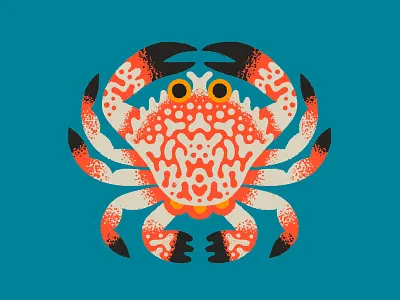 Rock Crab